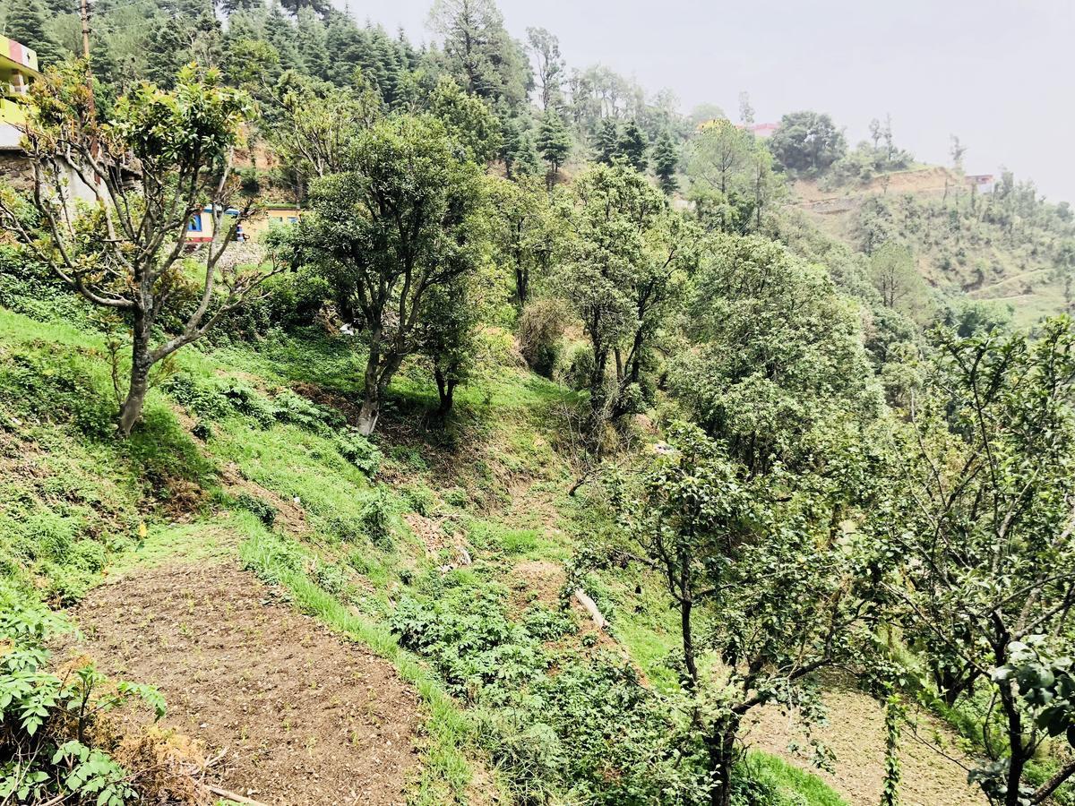 הוילה Bhowali Aqua De Vida מראה חיצוני תמונה